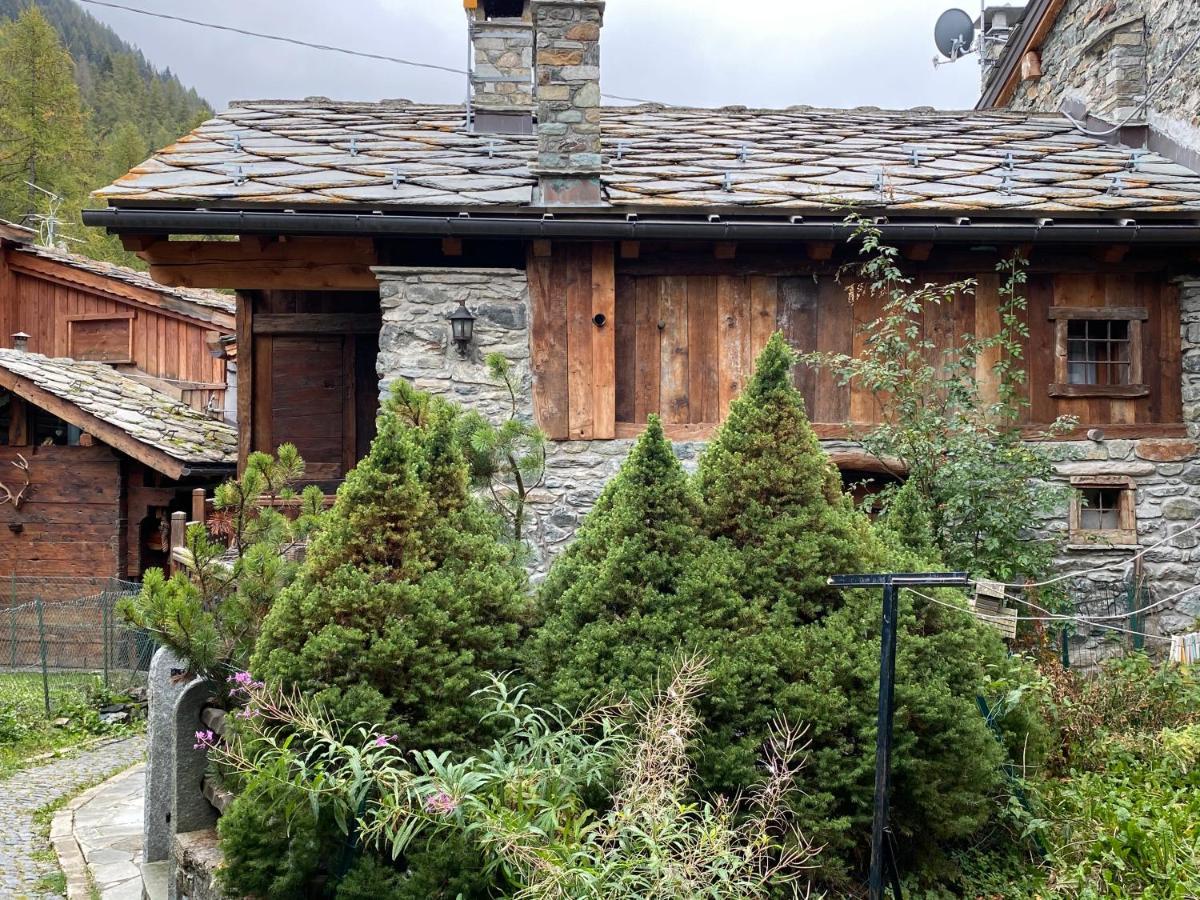 Chalet Cretaz Valtournenche Εξωτερικό φωτογραφία